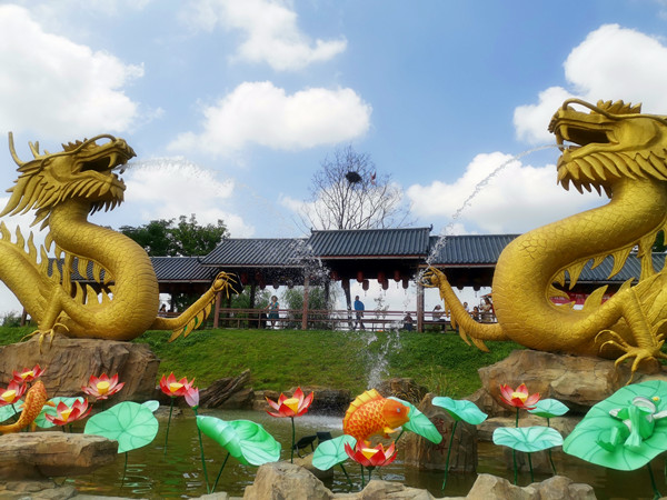 1562817648880834.jpg 微信圖片_20190711120209_副本.jpg