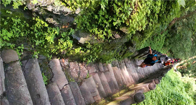 1563937609112879.jpg 微信圖片_20190724110444.jpg