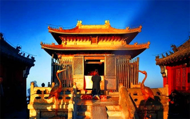 1563937639216552.jpg timg (7).jpg