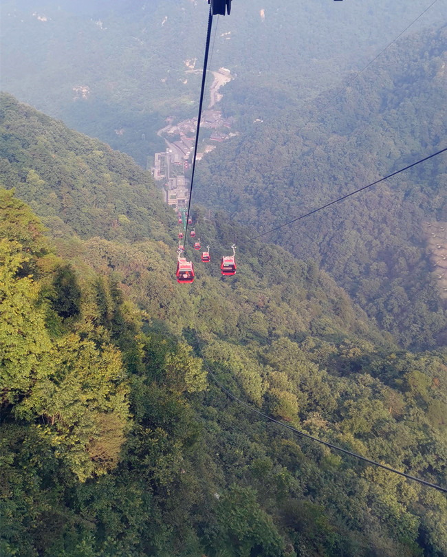 1564033165129148.jpg 微信圖片_20190725134040.jpg